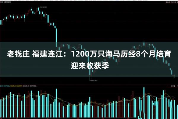 老钱庄 福建连江：1200万只海马历经8个月培育 迎来收获季