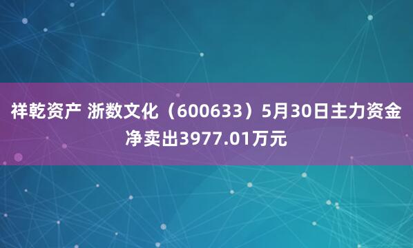 祥乾资产 浙数文化（600633）5月30日主力资金净卖出3977.01万元