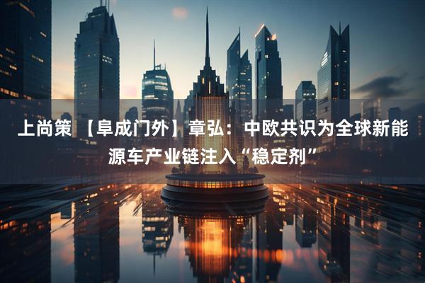 上尚策 【阜成门外】章弘：中欧共识为全球新能源车产业链注入“稳定剂”