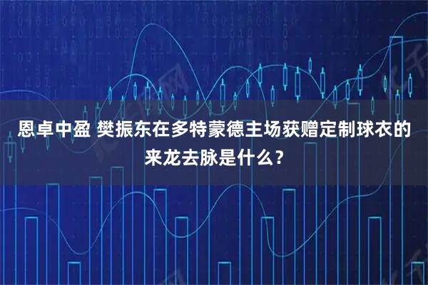 恩卓中盈 樊振东在多特蒙德主场获赠定制球衣的来龙去脉是什么？