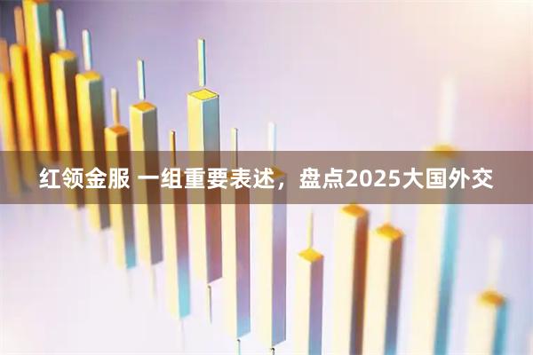 红领金服 一组重要表述，盘点2025大国外交